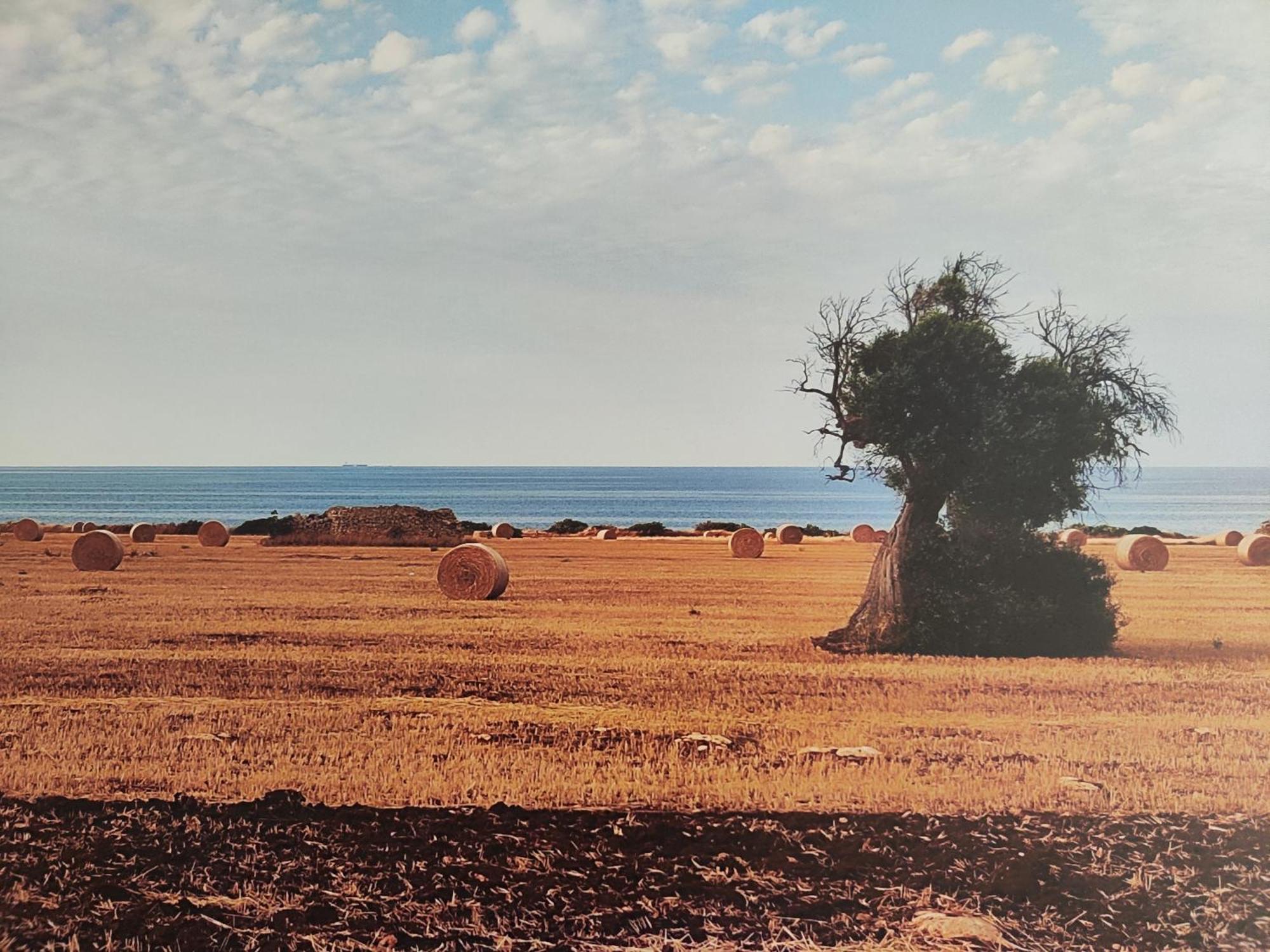 La Suite Di Eva Mola di Bari Exterior photo